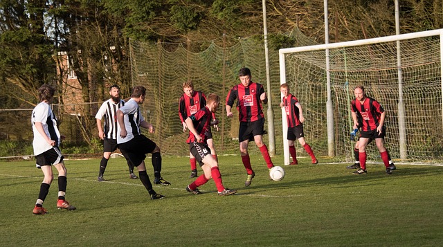 韦德的成就 韦德的成就