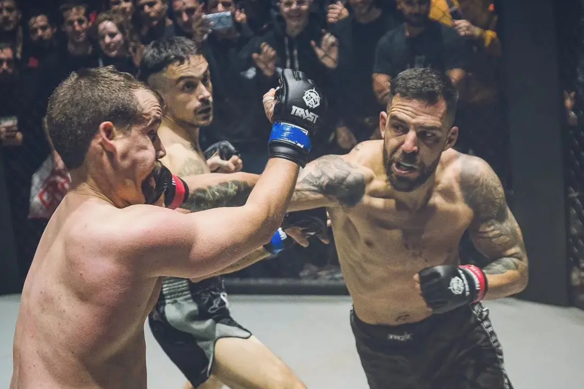 注入新的活 注入新的活